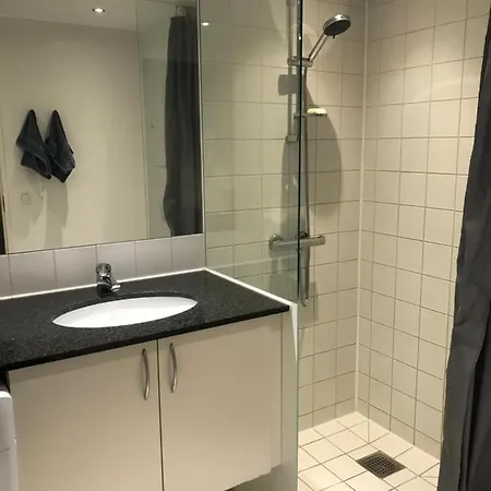 Spacious And Renovated Flat * Århus