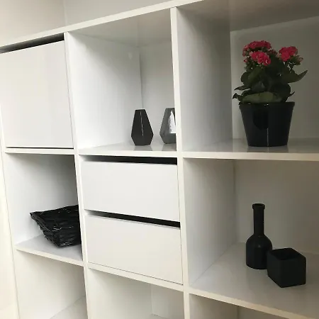 Spacious And Renovated Flat *