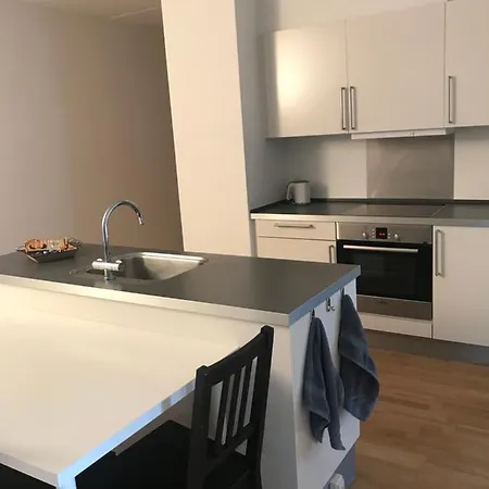 Lejlighed Spacious And Renovated Flat